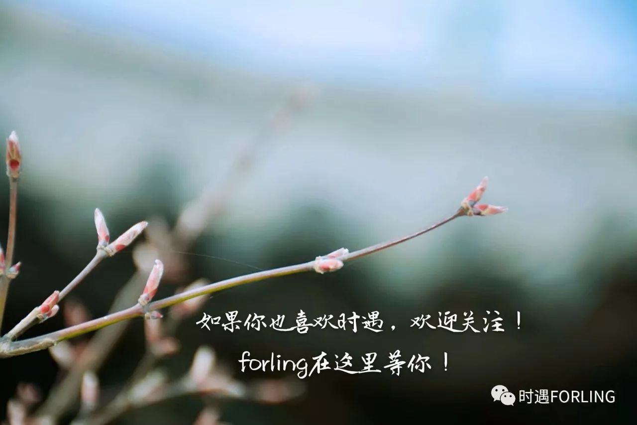 风花雪月是什么意思_风花雪月是什么词_意思风花雪月是成语吗