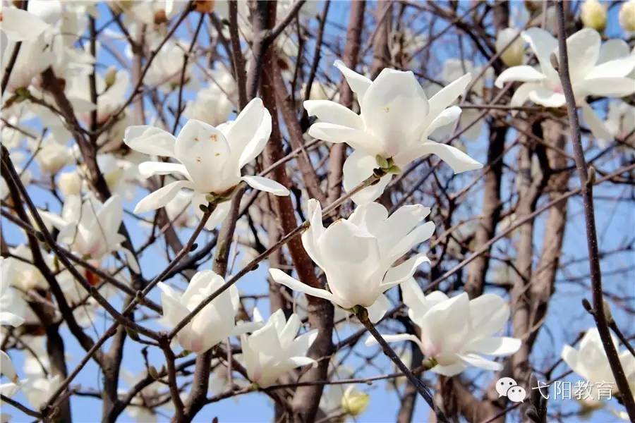 信手沾来_信手拈来表情包_信手拈来信