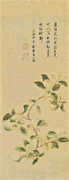 禽流感_禽的意思_禽