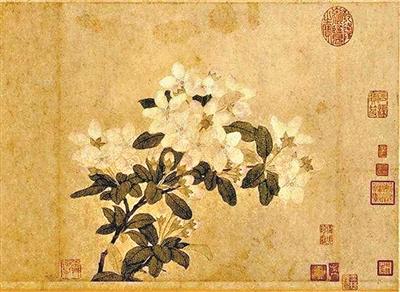禽流感_禽的意思_禽