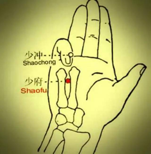 需时服用是什么意思_不时之需_需时是什么意思