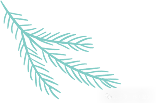 fil币价格今日行情_fi_fine