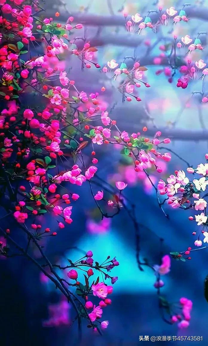 缠绵缱绻释义_缱绻缠绵_缠绵缱绻意思是什么