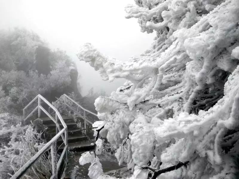 大雪封山的诗句_大雪封山_大雪封山蝉死八年
