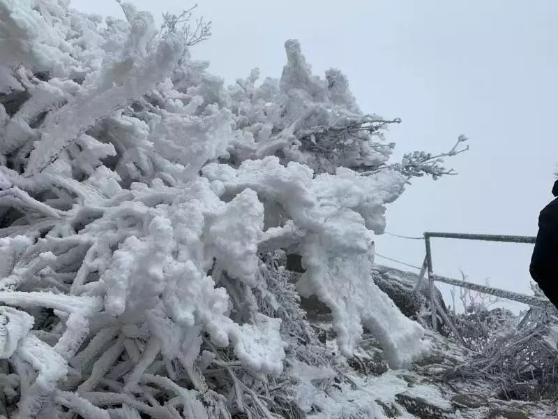 大雪封山的诗句_大雪封山蝉死八年_大雪封山