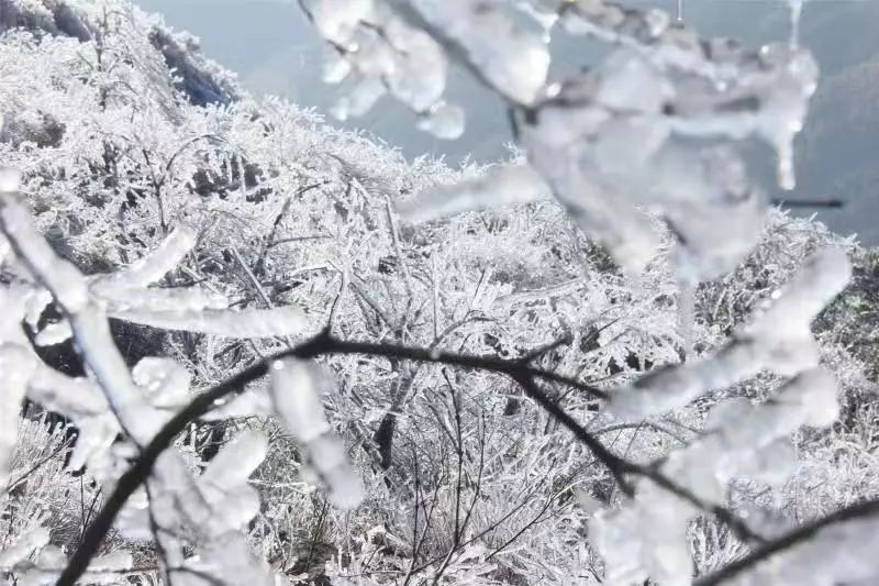 大雪封山_大雪封山蝉死八年_大雪封山的诗句