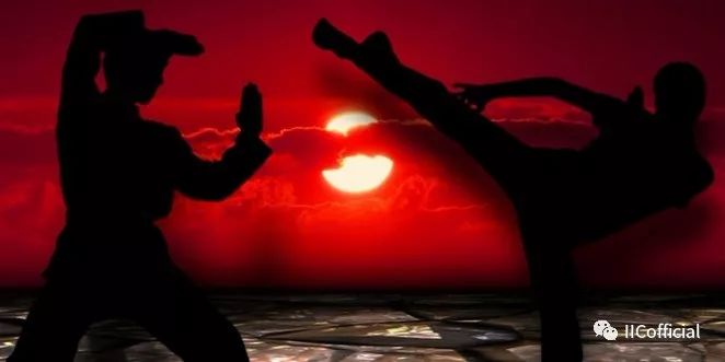 martialarts_martial_martialart翻译