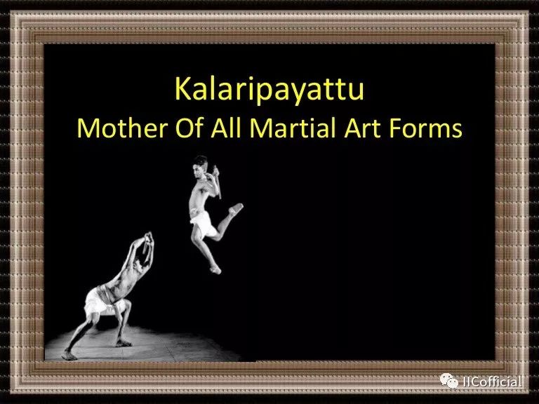martialarts_martial_martialart翻译