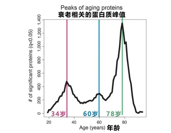 6味地黄丸的功效与作用_6_6月是什么星座