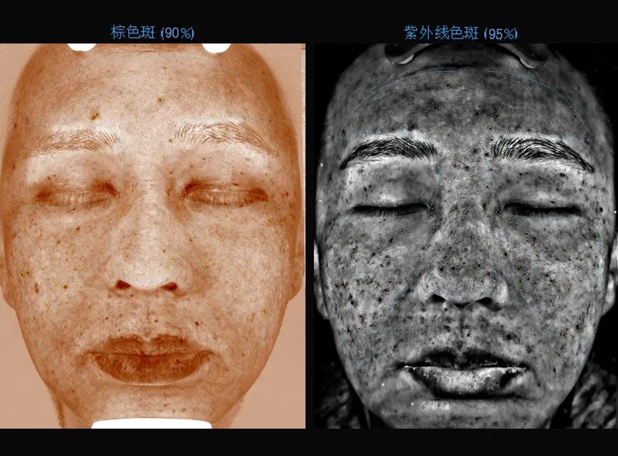 白_白术_白羊座