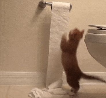 restroom_restrooms英语怎么读_restaurant
