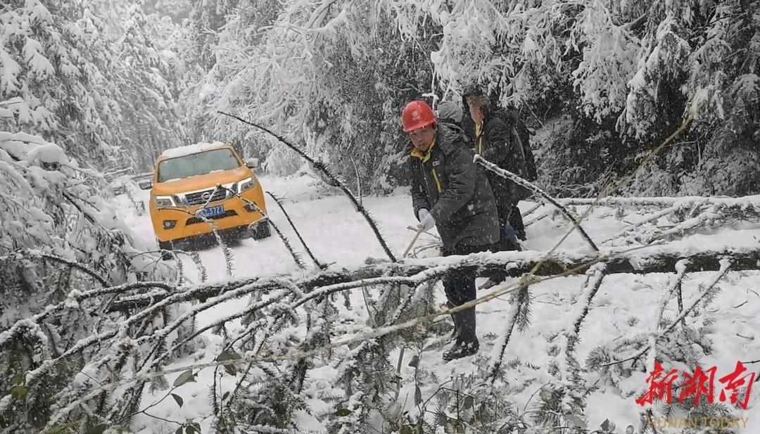 大雪封山_大雪封山歌词_大雪封山蝉死八年