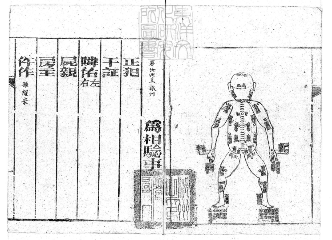 鉴龟数策是什么生肖_鉴龟数策_龟鉴
