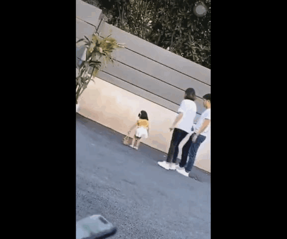 扬扬得意的意思_扬扬得意洋洋得意哪个正确_得意扬扬