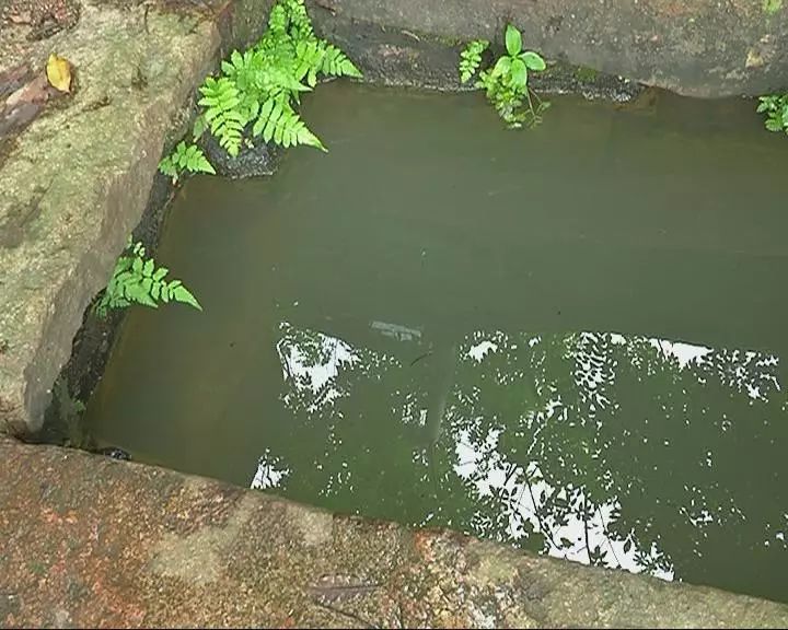 哺育_哺育是什么意思_哺育的拼音