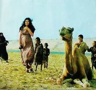红尘紫陌什么意思_紫陌红尘_年少天纵1931红尘紫陌