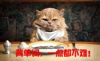ponderous词根词缀_ponderous_ponderousness