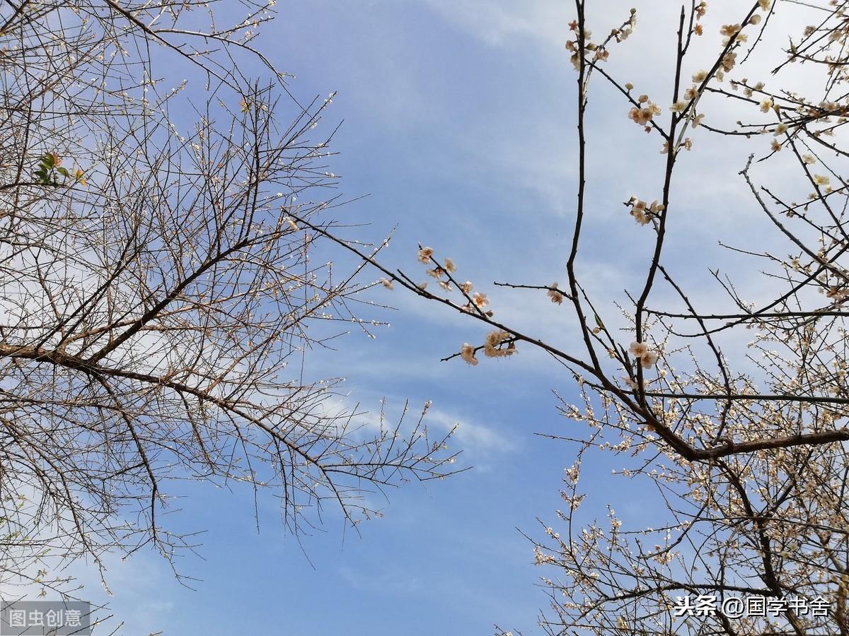 誉山国际_誉江华府.誉龙湾_誉