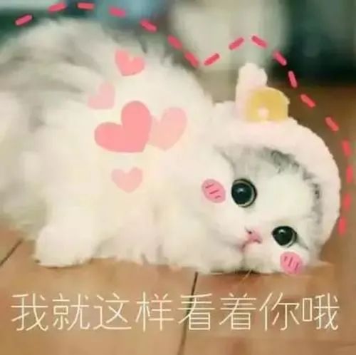 乐莫乐兮的“乐”读音_乐呵_乐克乐克2