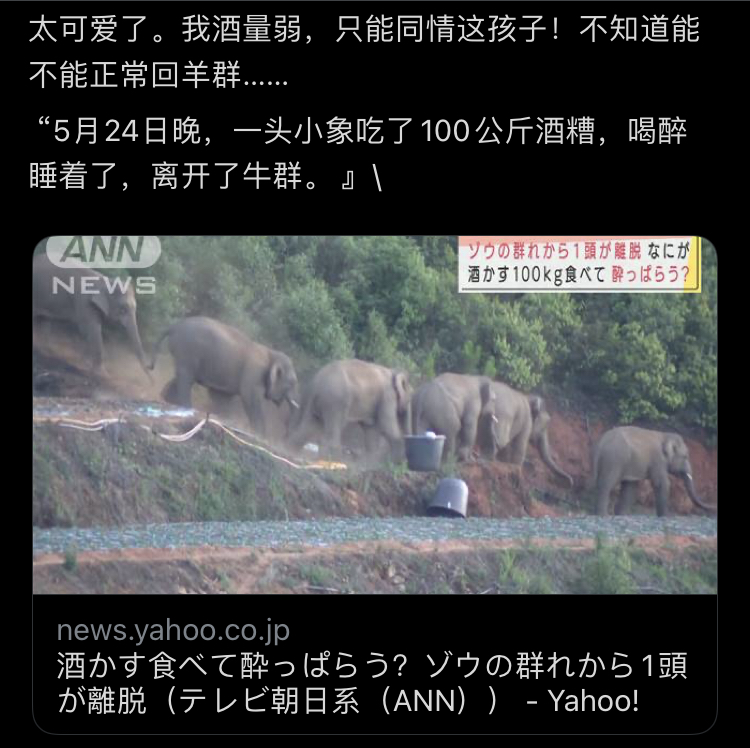 otroupeof_troupe怎么读_troupe