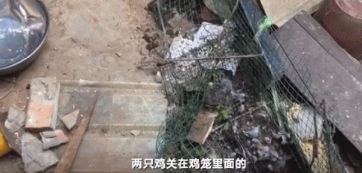 troupe怎么读_otroupeof_troupe