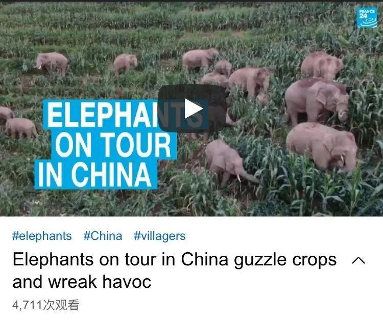 troupe_otroupeof_troupe怎么读
