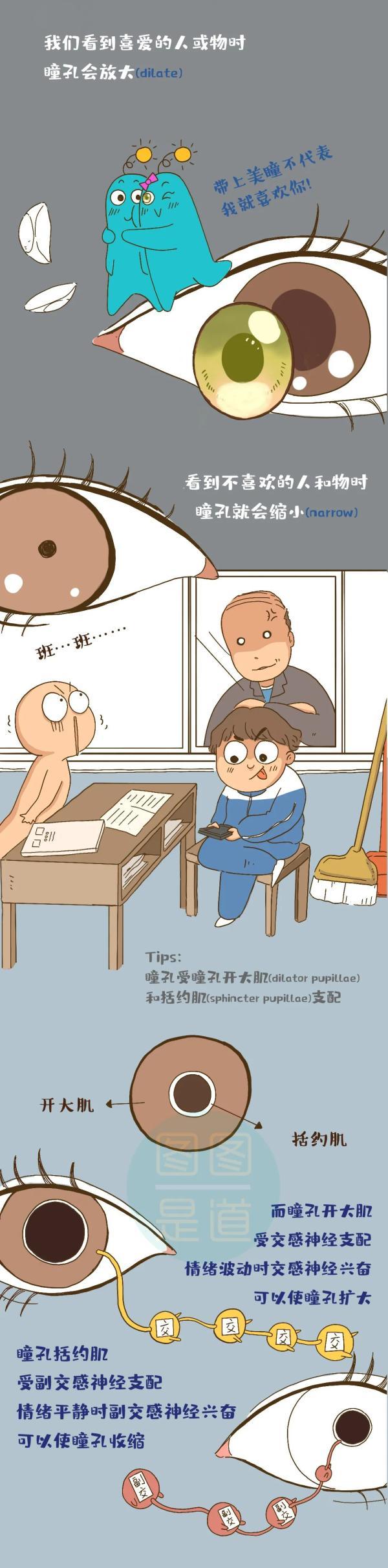 wronged_wrongedyou_wronged翻译