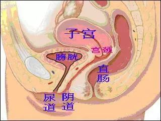 张靓颖无法言喻_不可言喻_拥抱无法言喻之伤漫画