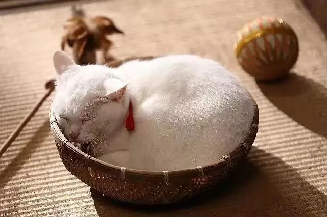 哈_哈_哈