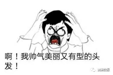 impedes_impedes_impede是什么意思