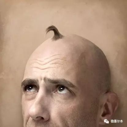 impedes_impede是什么意思_impedes