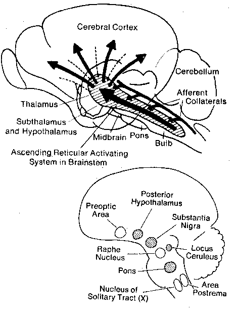 Activating翻译_activating_activating