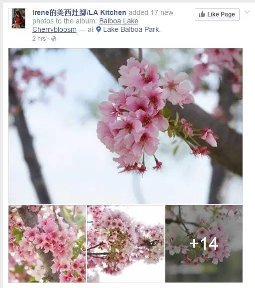 kincaid_lucykincaid_kincaid什么意思