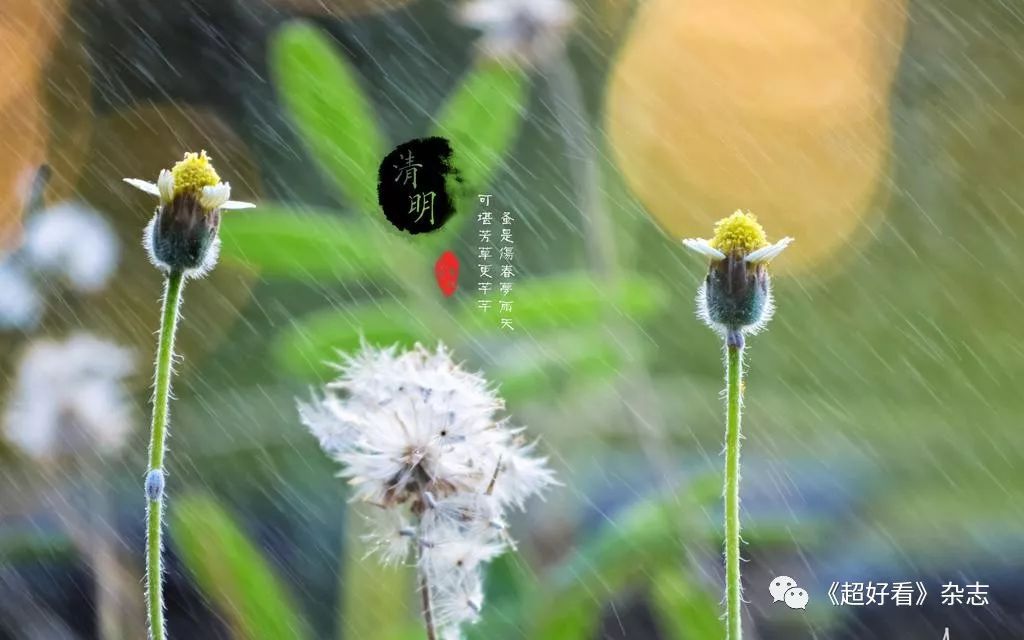 眼高于顶_眼高于顶的人令人讨厌_眼高于顶是成语吗