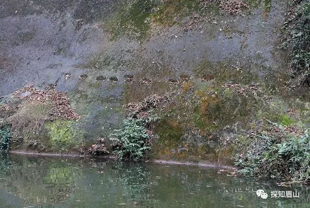 九龙沟_九龙沟景区_九龙沟在哪里