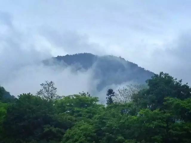 九龙沟在哪里_九龙沟景区_九龙沟