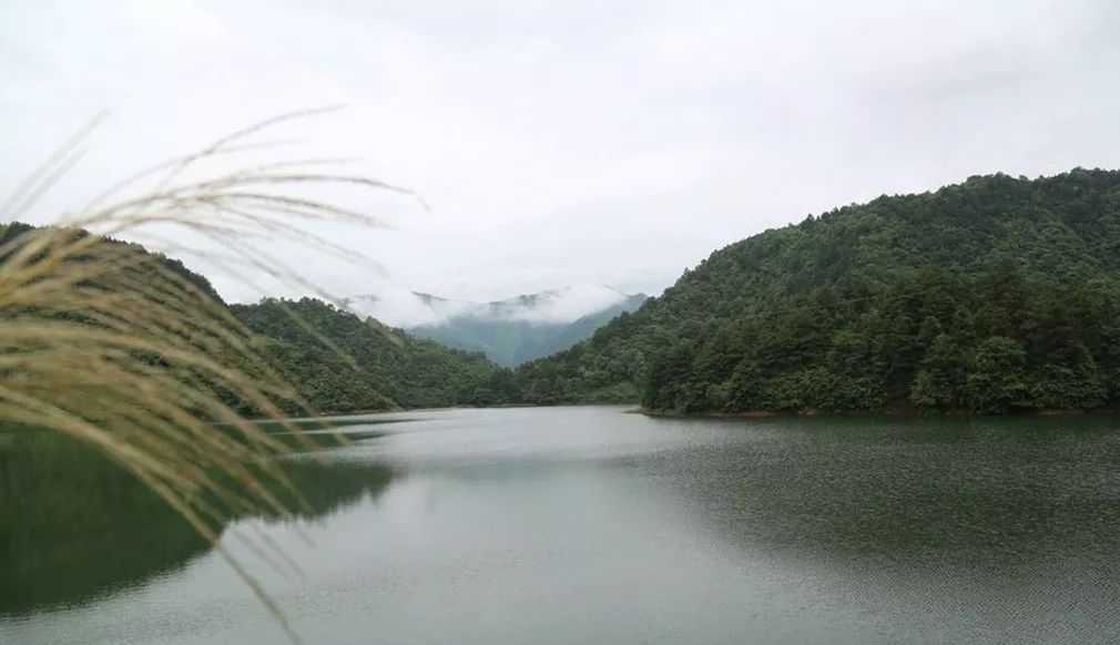 九龙沟在哪里_九龙沟景区_九龙沟