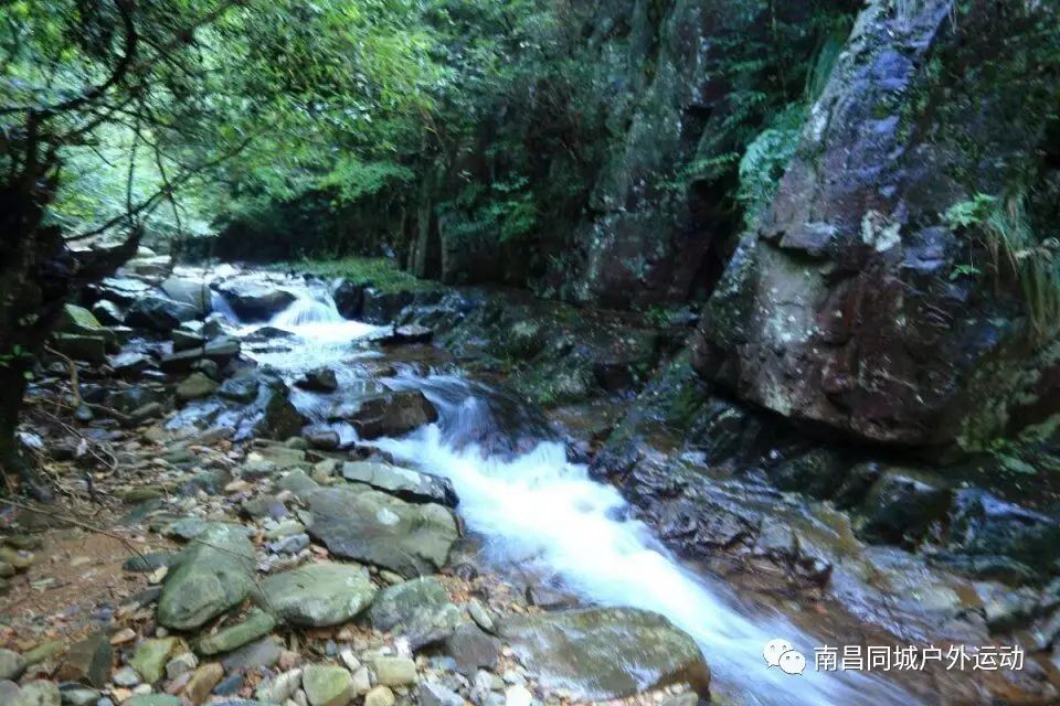 九龙沟在哪里_九龙沟景区_九龙沟