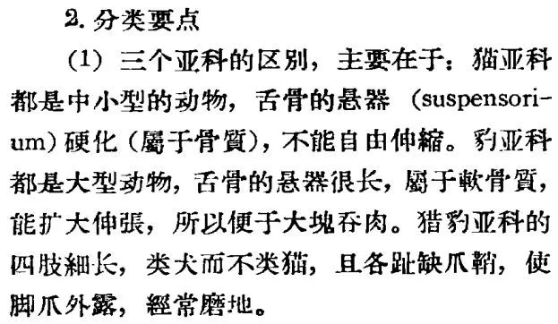 咆_虎咆都市_咆哮的咆怎么组词和组词的意思