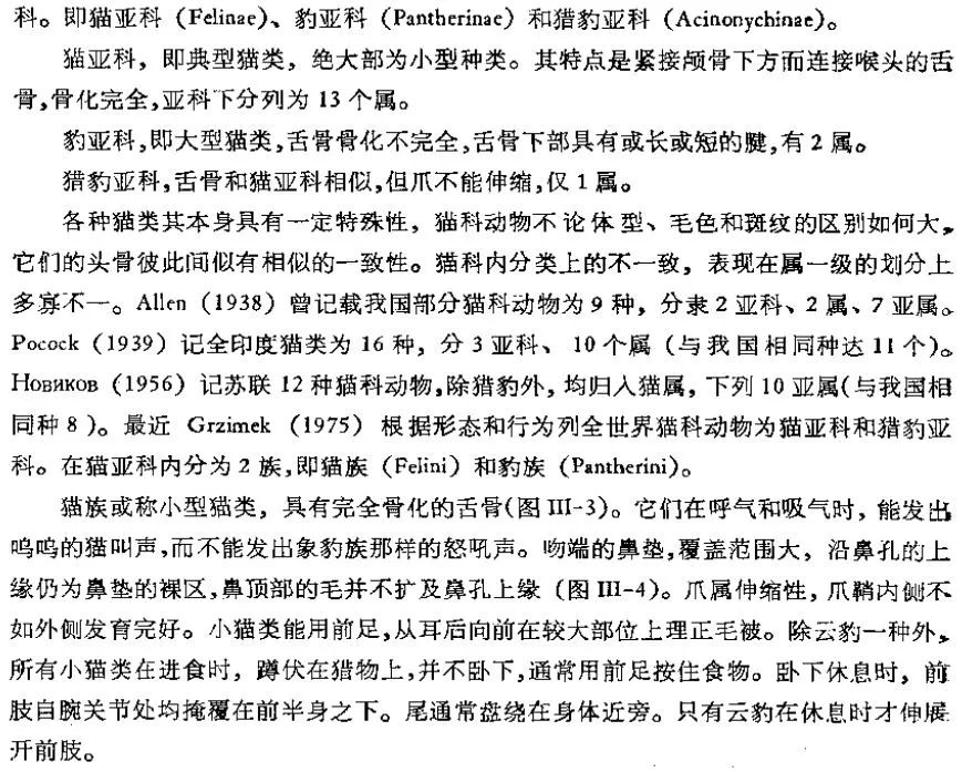 咆哮的咆怎么组词和组词的意思_虎咆都市_咆