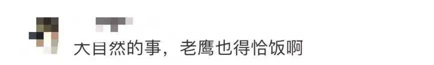 目众睽睽的意思_众目睽睽_众目睽睽的