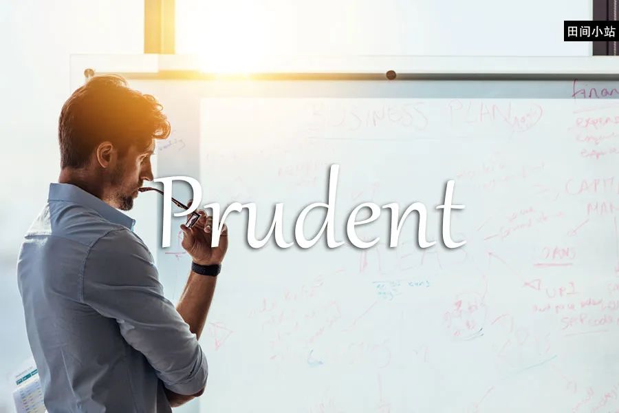 prudent_prudent翻译_prudent用法