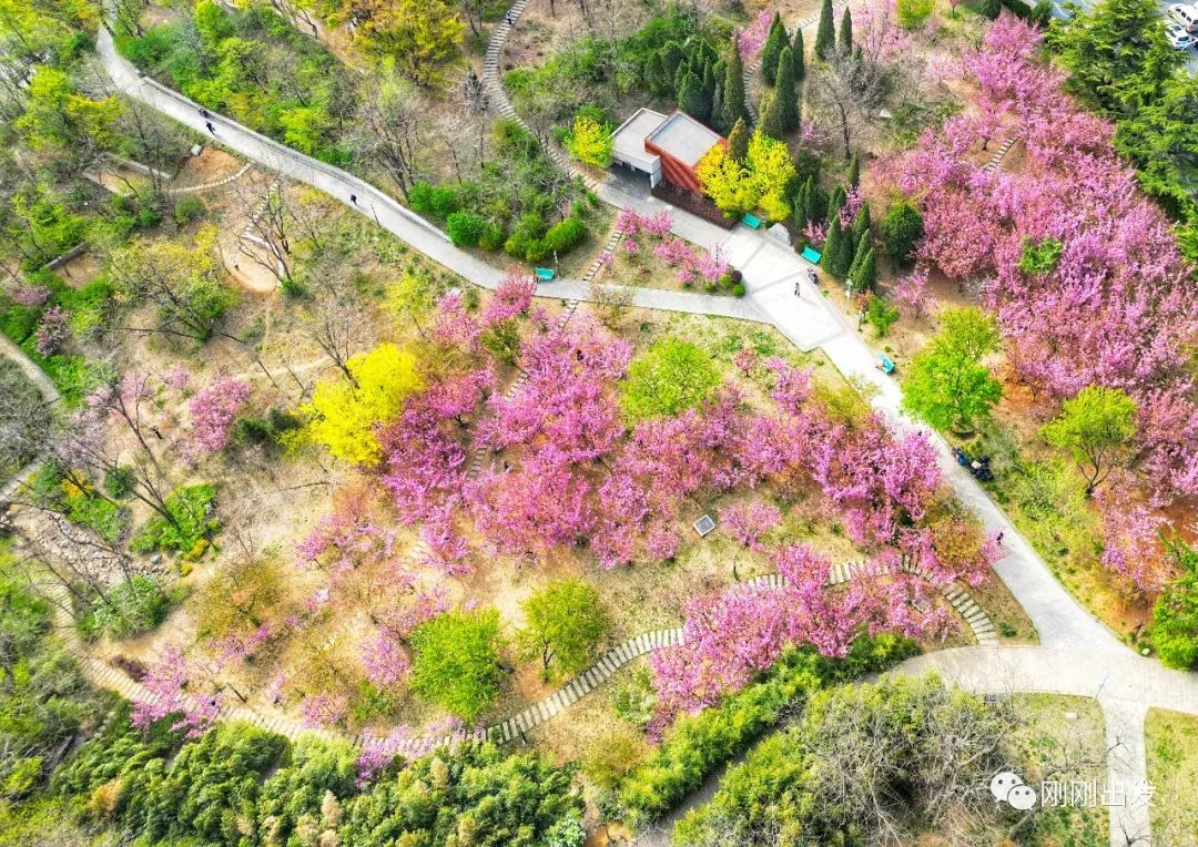 大连植物园_大连植物园介绍_大连植物园景点介绍
