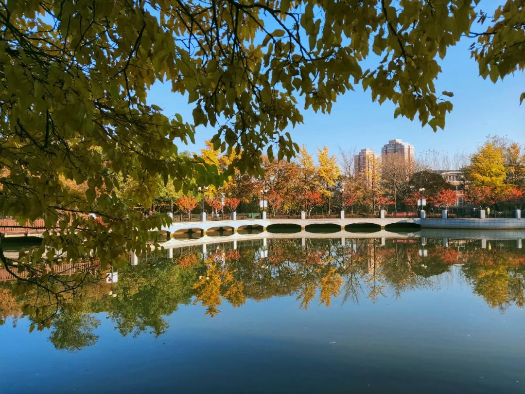 大连植物园_大连植物园景点介绍_大连植物园介绍