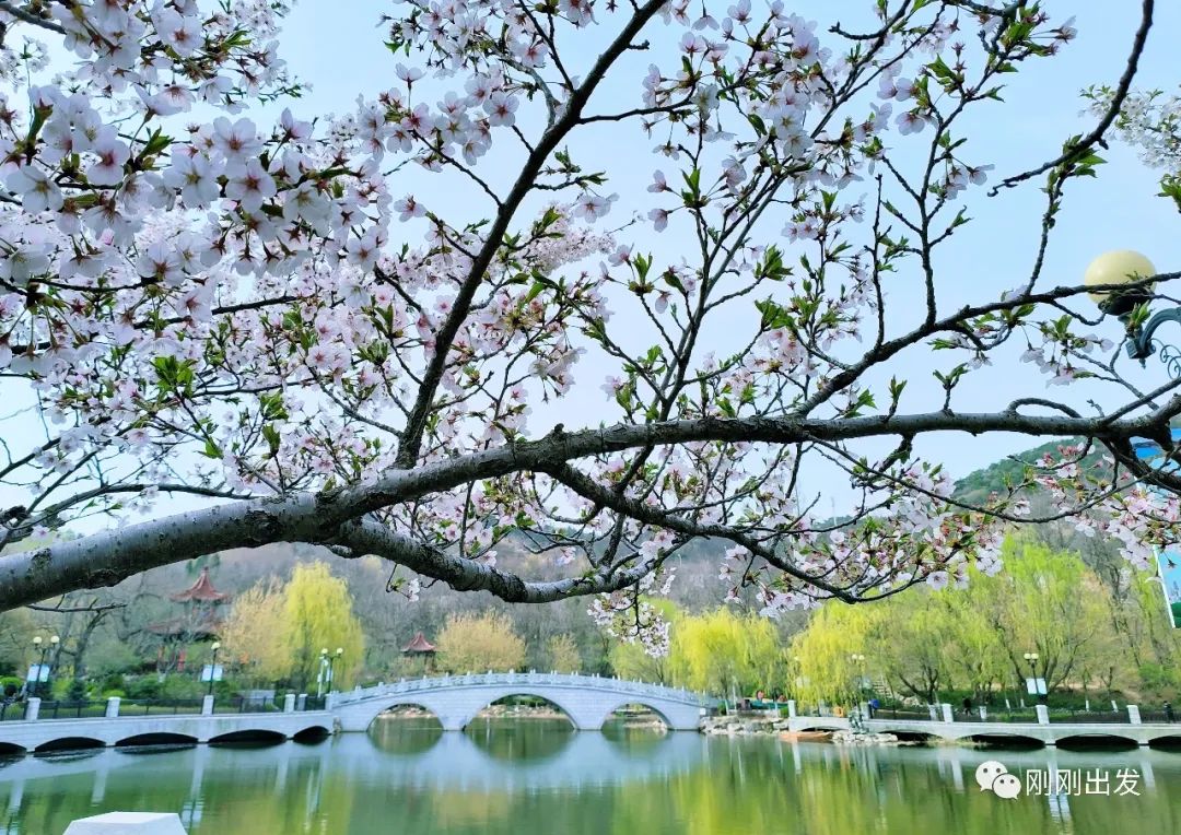 大连植物园景点介绍_大连植物园介绍_大连植物园