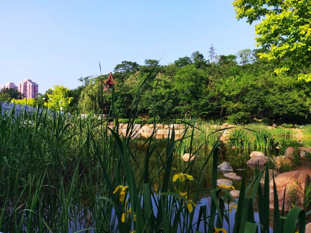 大连植物园_大连植物园介绍_大连植物园景点介绍