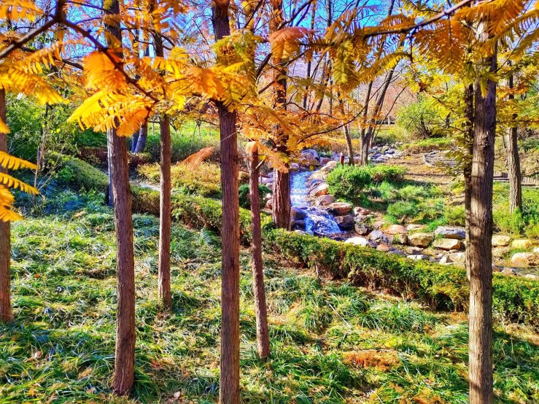 大连植物园_大连植物园景点介绍_大连植物园介绍