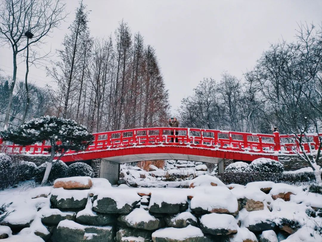 大连植物园介绍_大连植物园_大连植物园景点介绍