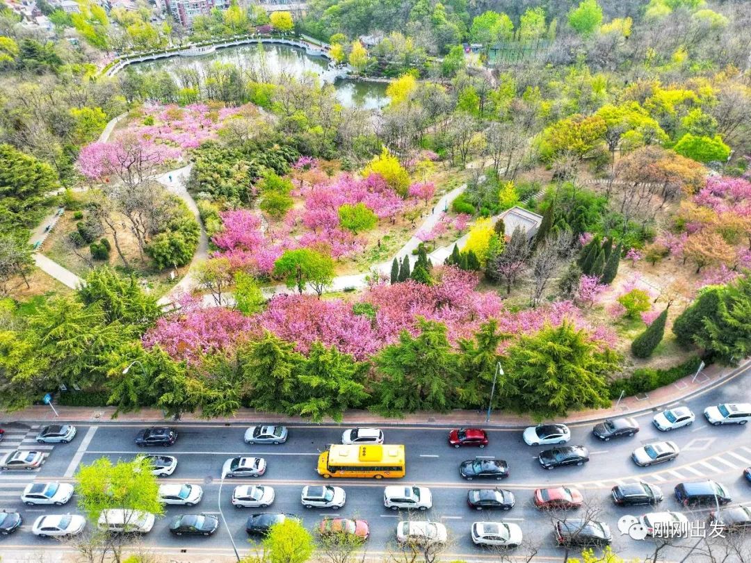 大连植物园景点介绍_大连植物园介绍_大连植物园