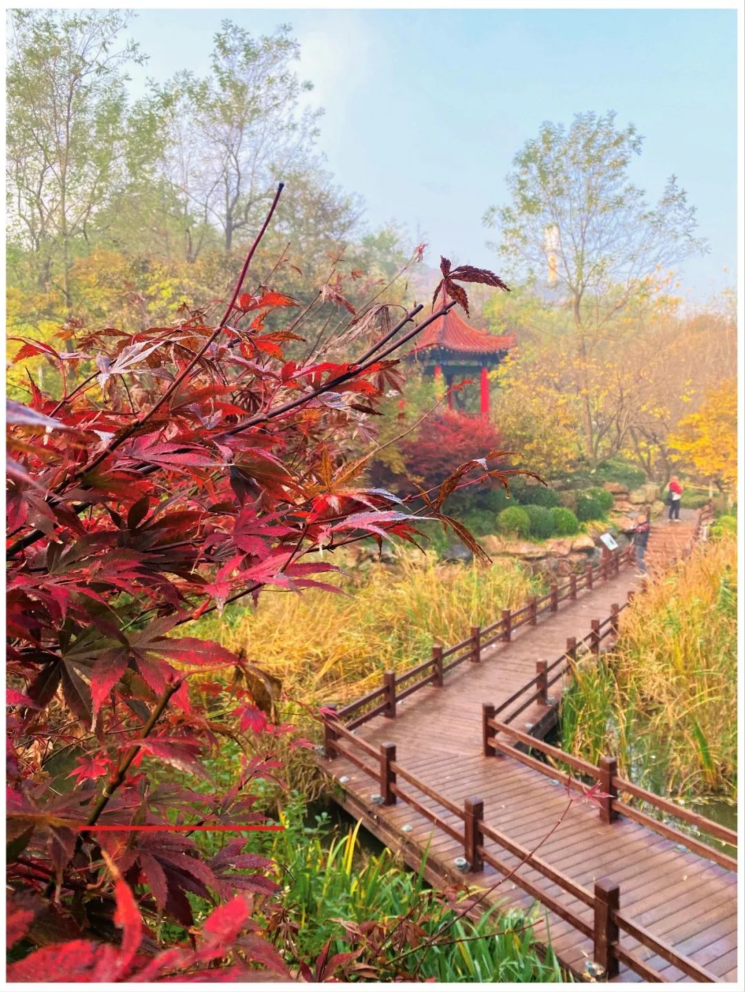 大连植物园介绍_大连植物园景点介绍_大连植物园